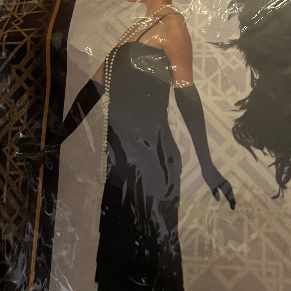 Flapper dress just the dress